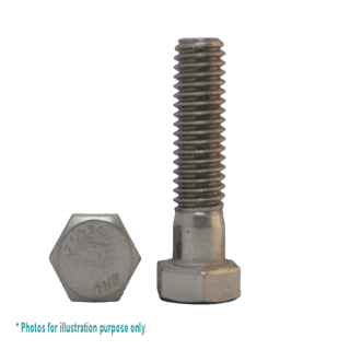 1/2BSW X 2 G304 STAINLESS STEEL HEX BOLT