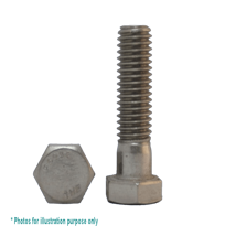 1/2BSW X 2 G304 STAINLESS STEEL HEX BOLT